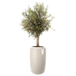 amber beads large 40cm linnen wit